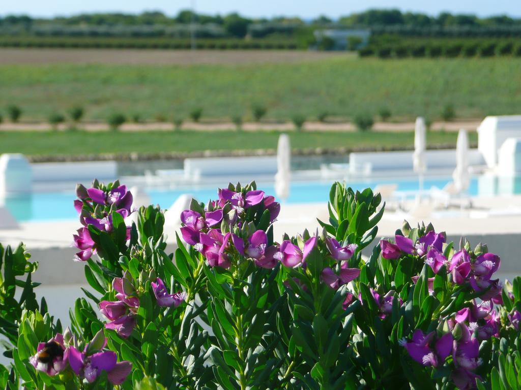 Masseria Bagnara Resort & Spa Marina di Lizzano Exterior foto